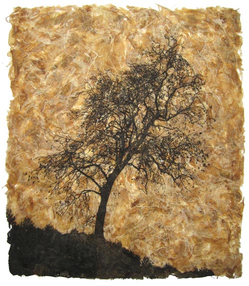 fraxinus-excelsior-tree-etching-janetfrench-emmabuckmaster