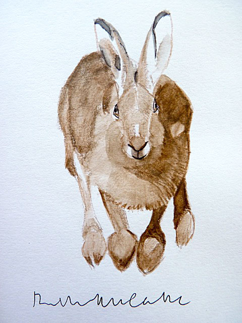 ruth-mccabe-watercolour-hare