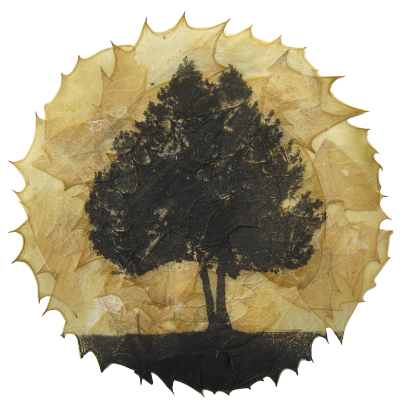 buckmaster-french-ilex-aquifolium-etching-on-holly-leaves