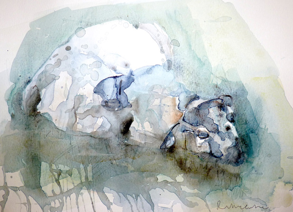 ruth-mccabe-painting-05-2017