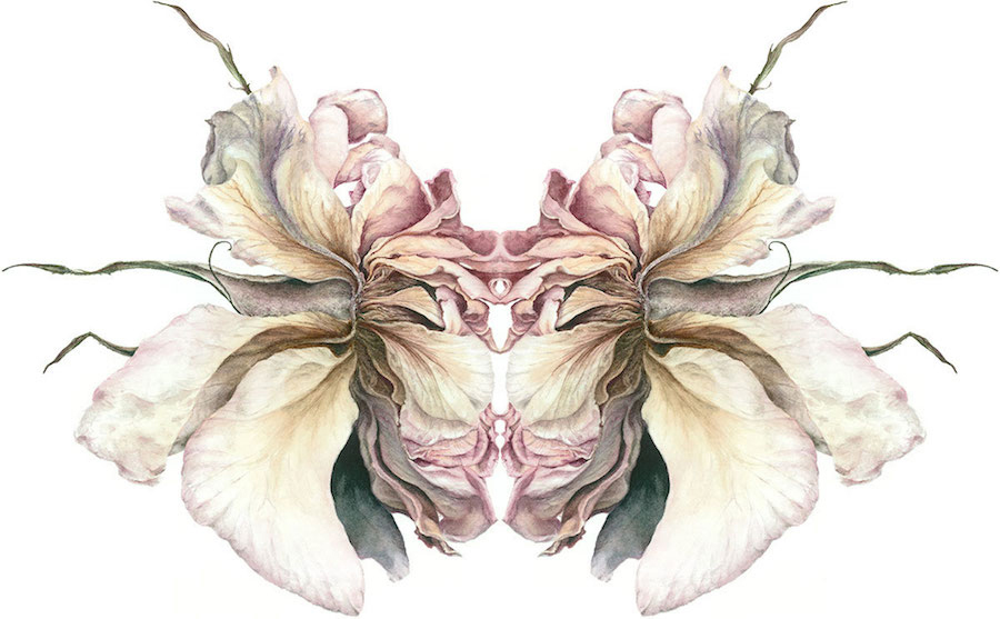 julia-groves-the-imaginal-rose-2018