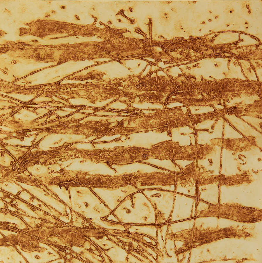 susan-daltry-the-sea-fishing-panel-2