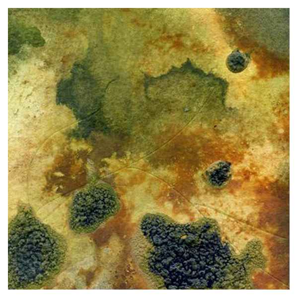 katie-millard-abstract-20x20cm