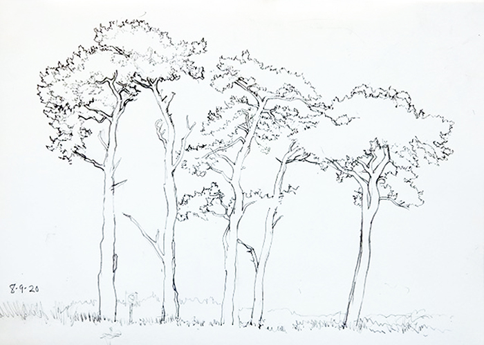 laurie-rudling-sketch-3