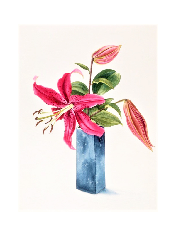 alison-jones-lily-stargazer-2020