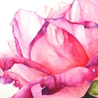 julia-groves-summertime-detail