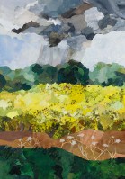 christine-mckechnie-oil-seed-rape-40x28cm