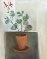 judith-glover-artworks-pelargonium