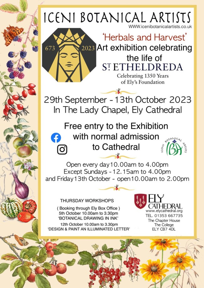 Iceni Botanical Artists, Herbals & Harvest exhibition at Ely Cathedral
