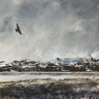 terry-bryan-soaring-on-high