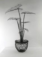 nicci-dedman-sculpture-potted-alocasia-steel-wire-76x36x22cm