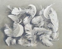 lillias-august-ruffled-feathers-26-x-34cm-watercolour