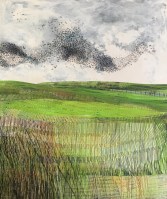 elisabeth-rutt-murmuration