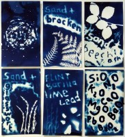 liz-waugh-mcmanus-cyanotypes